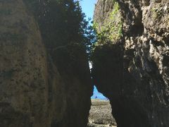 -鹅銮鼻公园