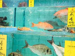 -有腥气私房菜·寻味顺德