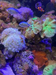 -Zoolung Zoolung动物主题公园(海信广场店)