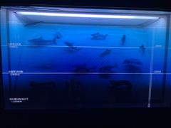 -同济大学四平路校区深海探索馆