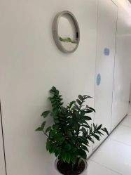 -agge蛋白医美