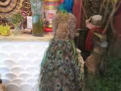 -兰纳泰式spa(古城店)