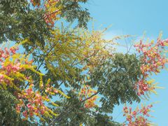 -白塘生态植物园