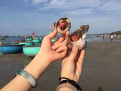-美奈渔村
