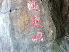 景点-大明山自然探索公园