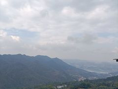 -南山植物园