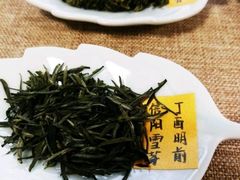-养心斋涵信茶艺茶道培训