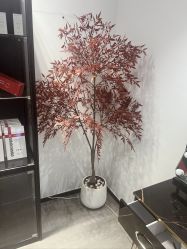 -MJ skin care国际皮肤管理中心