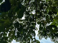 -白云山风景名胜区