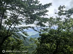 -天目山大树王景区