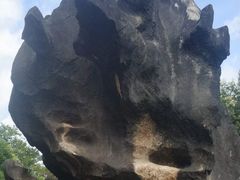 -姑婆山旅游区