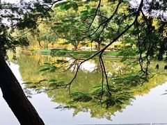 -东莞植物园