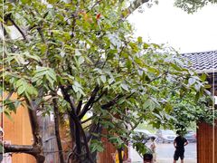 -李东农庄(中南百草园地标店)