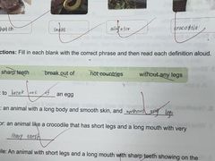 -安妮花英语·少儿·原版阅读(沙坪坝店)