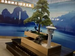 -马家斑.鲜鱼火锅(松湖万科店)