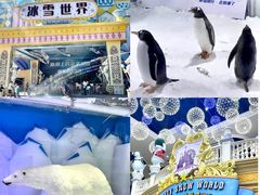 -郑州银基冰雪世界
