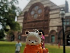 -普林斯顿大学