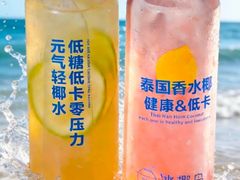 -冰椰岛椰冰(亚龙湾店)