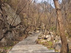-王顺山国家森林公园