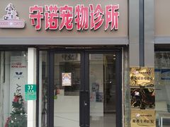 -守诺宠物医院·眼科· 特色牙科·异宠专科(虹口店)