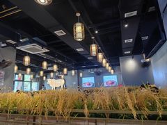 -小肥牛潮汕牛肉火锅(南联店)