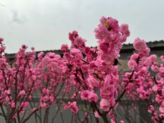 -北京周口店北京人遗址博物馆