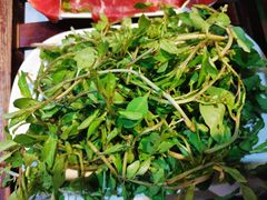 -爱膳菌锅锅(阳南店)