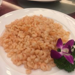 -新城花园酒店·宴会厅