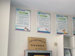 -佳怡动物医院·平价24小时·猫专科骨外科