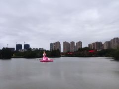 -青枫公园