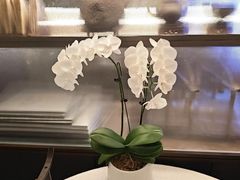-蘇锦宴·淮扬菜烤鸭·小院(三元桥霄云路店)