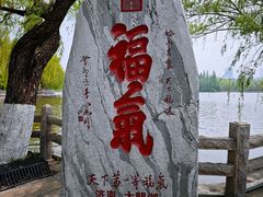 -济南大明湖景区