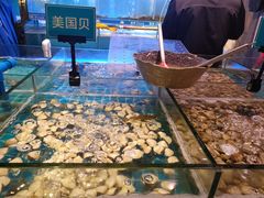 水产区-领鲜活海鲜榴莲自助火锅(东门店)