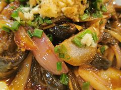 响油鳝糊-西新饭店(城中店)