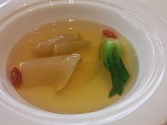 鲜人参炖花胶汤-樱苑(四川北路店)