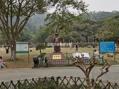 -火炉山森林公园