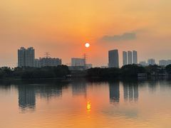 -海珠湖公园