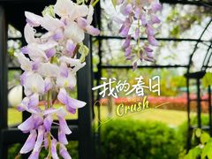 -常州花鸟园酒店(西太湖品牌优选店)