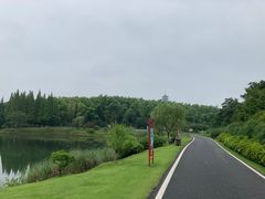 -宜兴龙背山森林公园