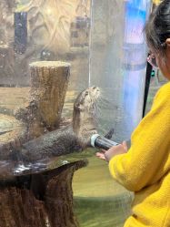 -Zoolung Zoolung动物主题公园(海信广场店)