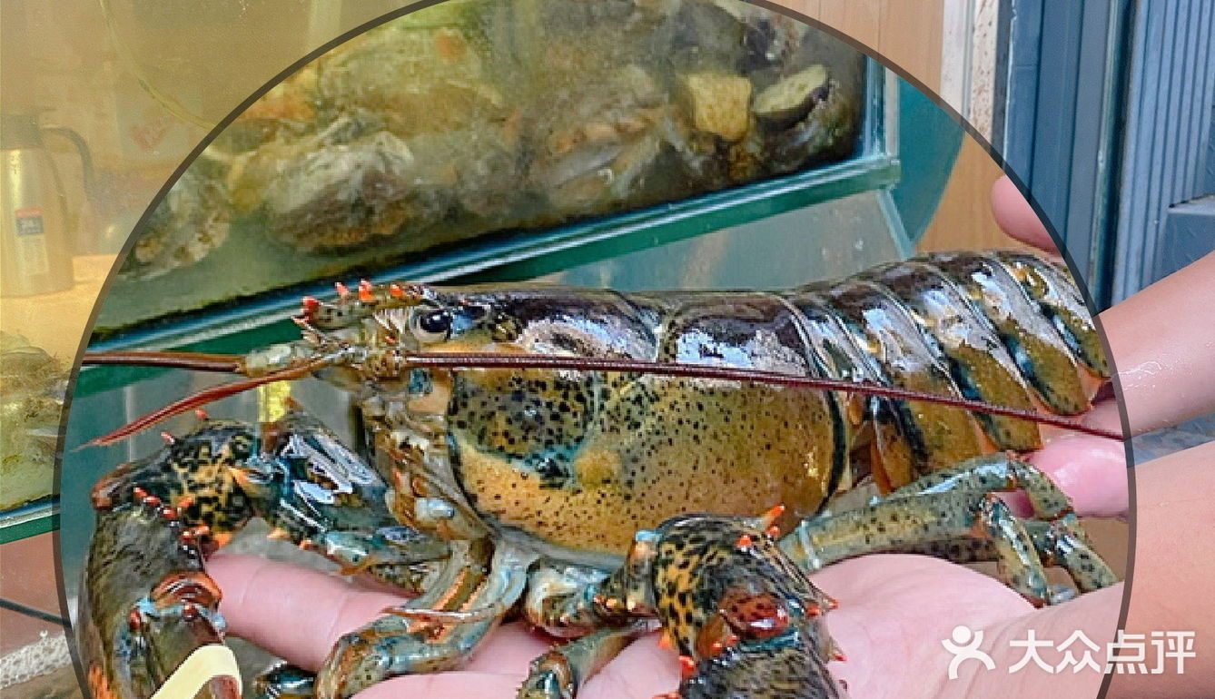 厦门旅游攻略🦞曾厝垵人均55海鲜大餐私房菜