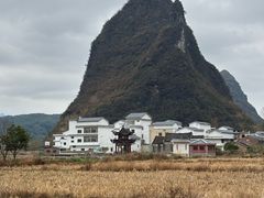-钟山水墨田园