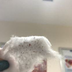 -蕾特恩专业祛痘国际连锁