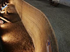 -天津古林古海岸遗迹博物馆