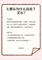 点击看大图 -玛莲朵·海菲秀冰珀科