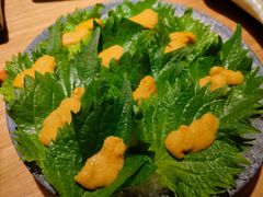 海胆刺身-初花·日本料理