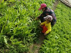 -万源龙顺度假庄园生态观光园