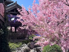 -茅山东方盐湖城景区