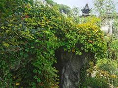 -江宁织造博物馆