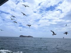 -海驴岛(荣成市)